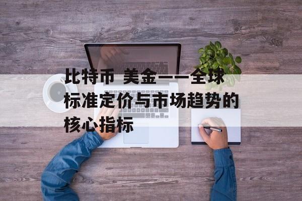 比特币 美金——全球标准定价与市场趋势的核心指标